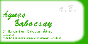 agnes babocsay business card