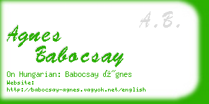 agnes babocsay business card